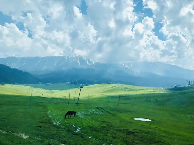 Green meadows of Gulmarg with mountains behind