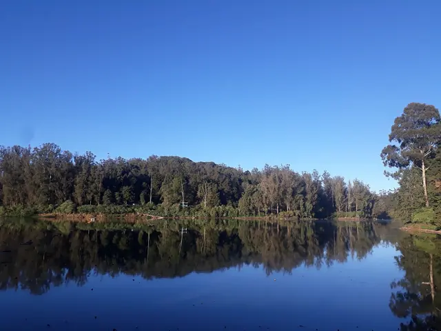 Ooty Lake reflecting the surrounding forest