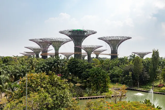 Supertree Grove at Gardens by the Bay, Singapore